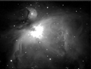 m42